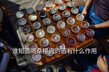 誰(shuí)知道喝桑椹泡的酒有什么作用