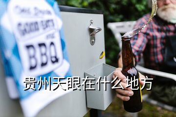 貴州天眼在什么地方