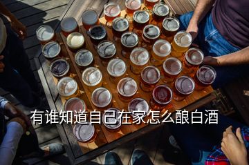 有誰(shuí)知道自己在家怎么釀白酒