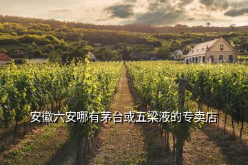 安徽六安哪有茅臺或五梁液的專賣店