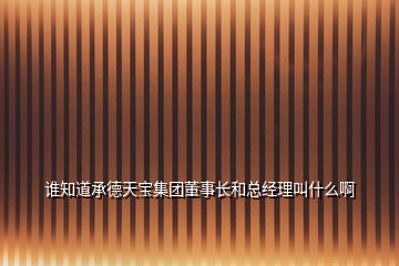 誰知道承德天寶集團(tuán)董事長(zhǎng)和總經(jīng)理叫什么啊