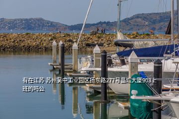 有在江蘇 蘇州吳中工業(yè)園區(qū)揚(yáng)東路277號(hào)晶匯大廈903上班的嗎公