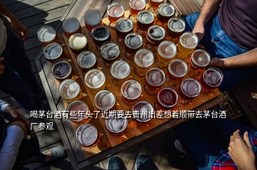 喝茅臺(tái)酒有些年頭了近期要去貴州出差想著順帶去茅臺(tái)酒廠參觀