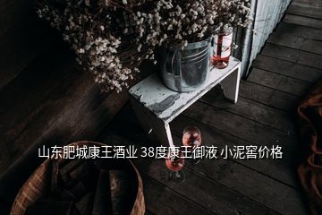 山東肥城康王酒業(yè) 38度康王御液 小泥窖價格