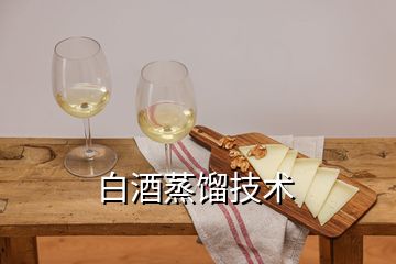 白酒蒸餾技術(shù)