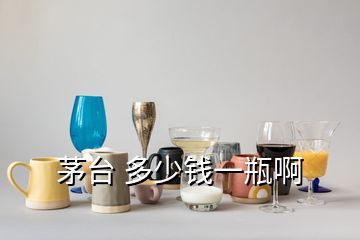 茅臺(tái) 多少錢一瓶啊