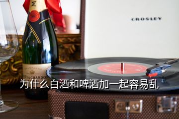 為什么白酒和啤酒加一起容易亂