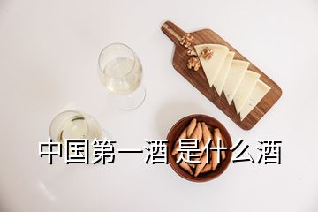 中國第一酒 是什么酒