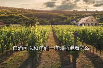 白酒可以和洋酒一樣調(diào)酒混著喝么