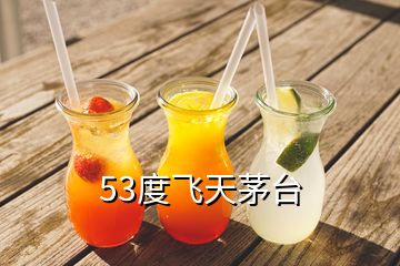 53度飛天茅臺