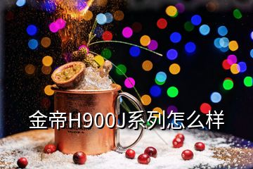 金帝H900J系列怎么樣