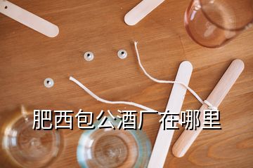 肥西包公酒廠在哪里