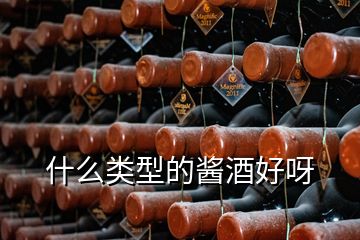 什么類(lèi)型的醬酒好呀