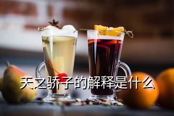 天之驕子的解釋是什么