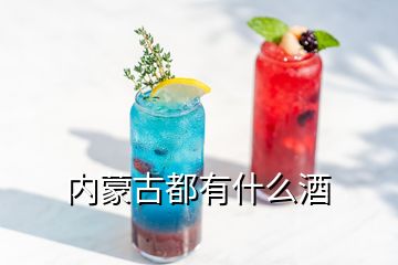 內(nèi)蒙古都有什么酒