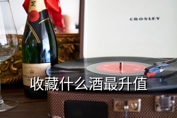 收藏什么酒最升值