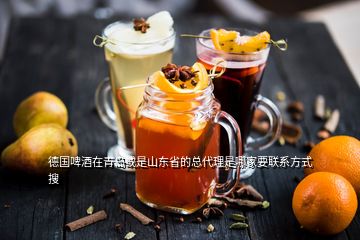 德國(guó)啤酒在青島或是山東省的總代理是哪家要聯(lián)系方式  搜