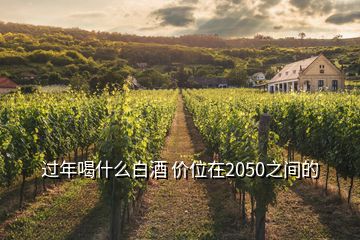 過年喝什么白酒 價位在2050之間的