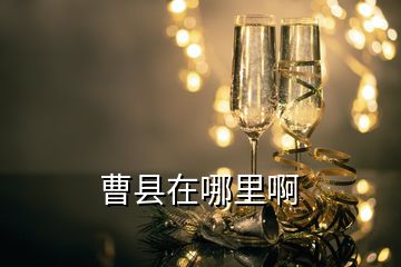 曹縣在哪里啊