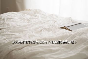 多彩貴州城的總體定位是什么有知道的請幫介紹下