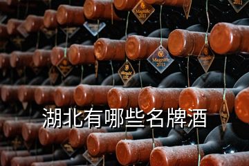 湖北有哪些名牌酒