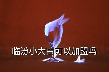 臨汾小大由可以加盟嗎