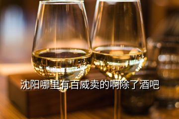 沈陽哪里有百威賣的啊除了酒吧