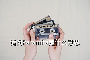 請問Paramita是什么意思