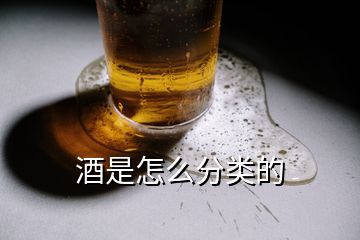 酒是怎么分類的