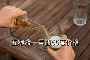 五糧液一號瓶55度價格