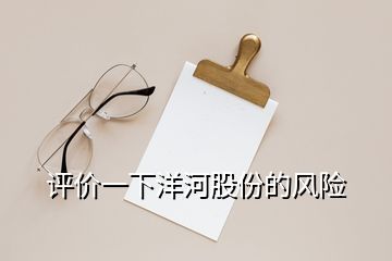 評(píng)價(jià)一下洋河股份的風(fēng)險(xiǎn)