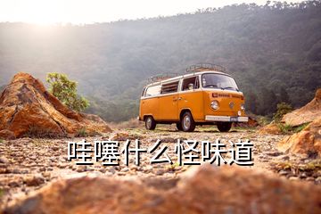 哇噻什么怪味道