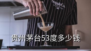 貴州茅臺53度多少錢