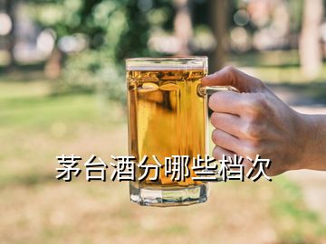 茅臺酒分哪些檔次