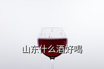 山東什么酒好喝