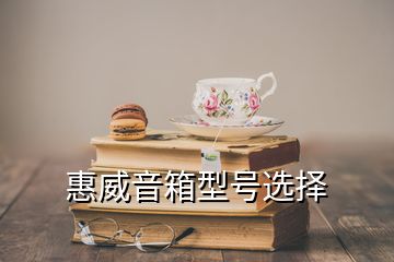 惠威音箱型號(hào)選擇