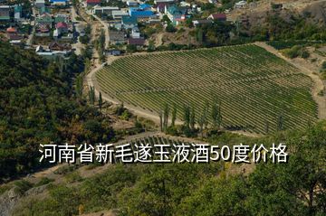 河南省新毛遂玉液酒50度價格