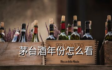 茅臺(tái)酒年份怎么看