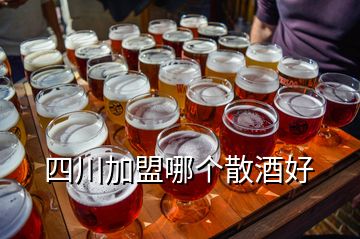 四川加盟哪個散酒好