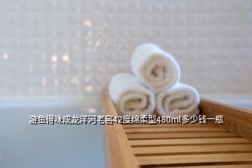 游魚得味成龍洋河老窖42度綿柔型480ml多少錢一瓶