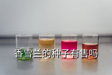 香雪蘭的種子有售嗎