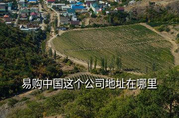 易購(gòu)中國(guó)這個(gè)公司地址在哪里