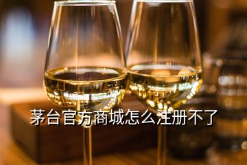 茅臺官方商城怎么注冊不了