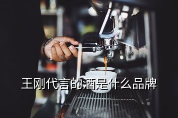 王剛代言的酒是什么品牌