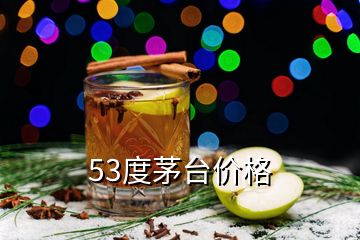 53度茅臺價格