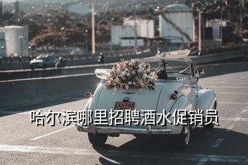 哈爾濱哪里招聘酒水促銷員