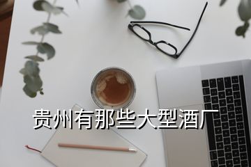 貴州有那些大型酒廠(chǎng)