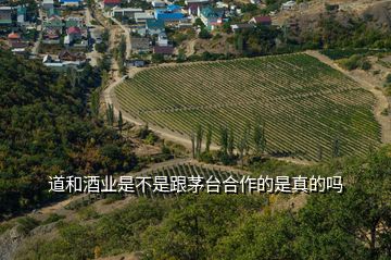 道和酒業(yè)是不是跟茅臺合作的是真的嗎