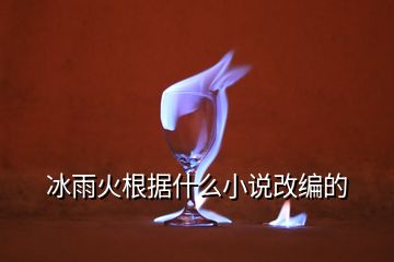 冰雨火根據(jù)什么小說改編的