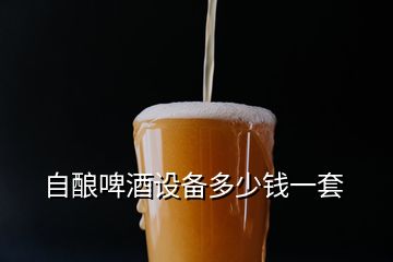 自釀啤酒設(shè)備多少錢一套